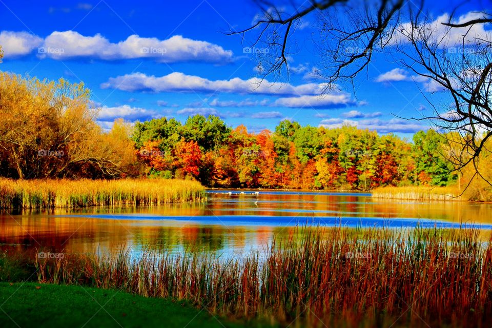 Gorgeous fall day. Picture perfect with the sky and the vibrant tree colors reflecting off the water.