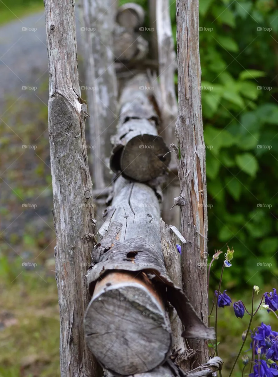 Fence