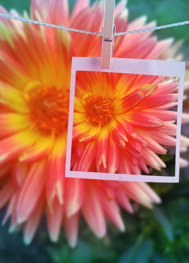 Vibrant Color