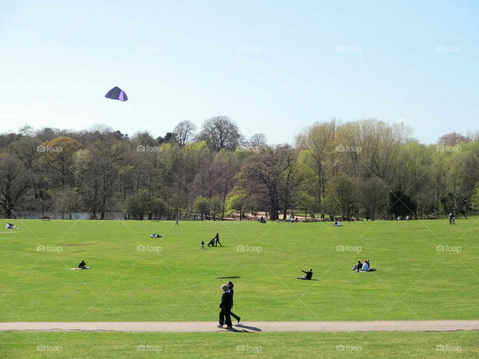 fun with a kite