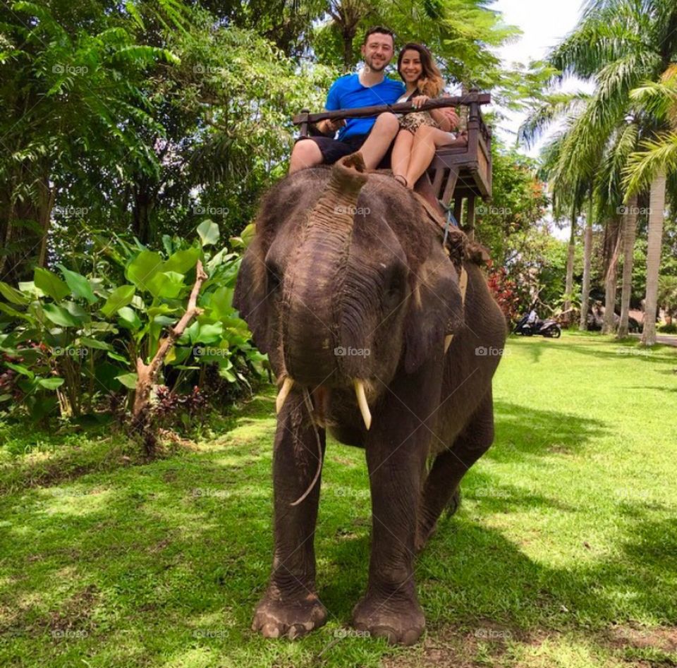 Bali Elephant Camp 
