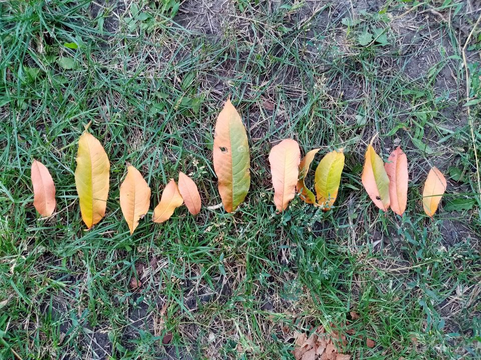 Осенняя природа