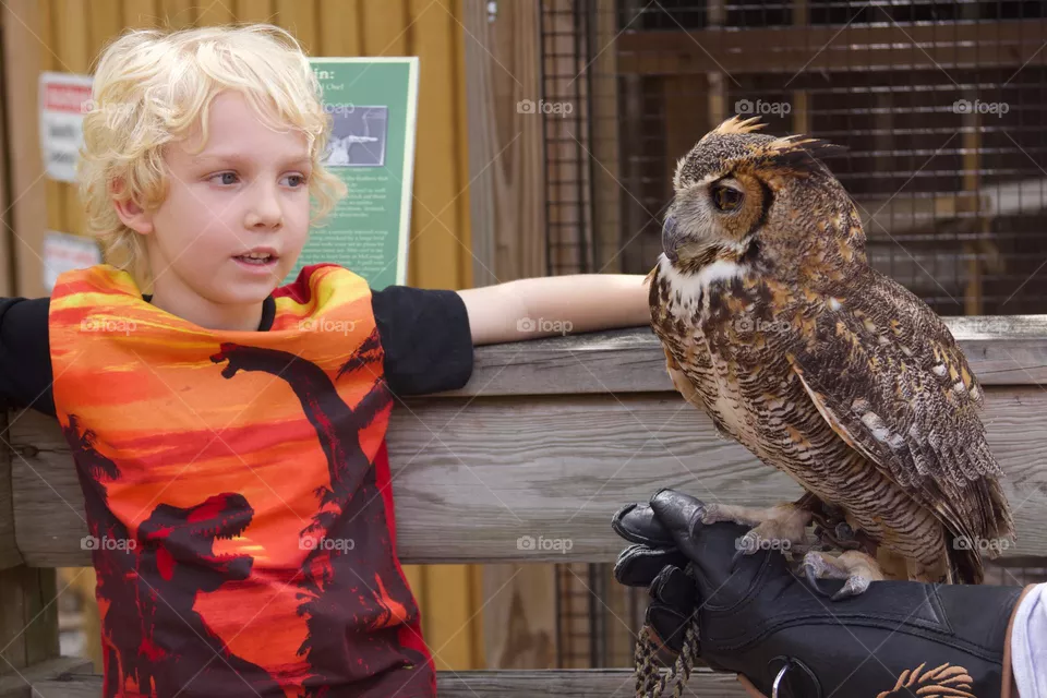 Hi There, Great Horned Owl