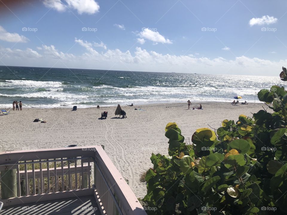 Ocean view, South Florida 