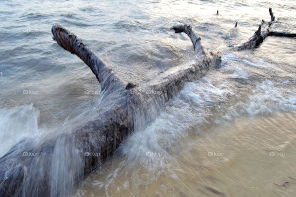 Waves crashing on driftwood in sea