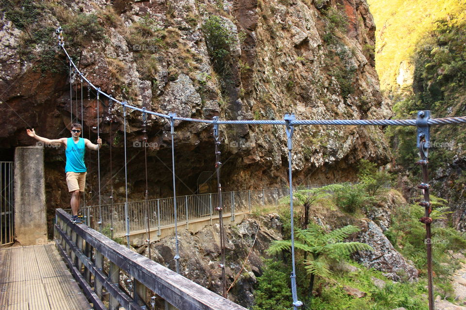 on the bridge. new zealand forrest