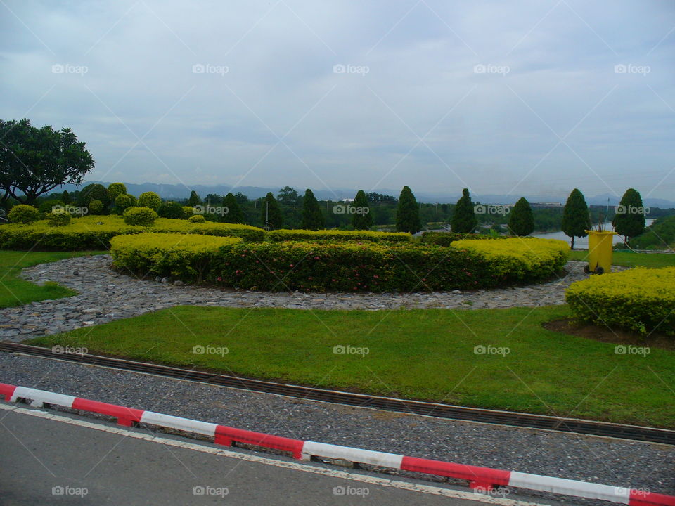 Road, Landscape, Tree, No Person, Guidance