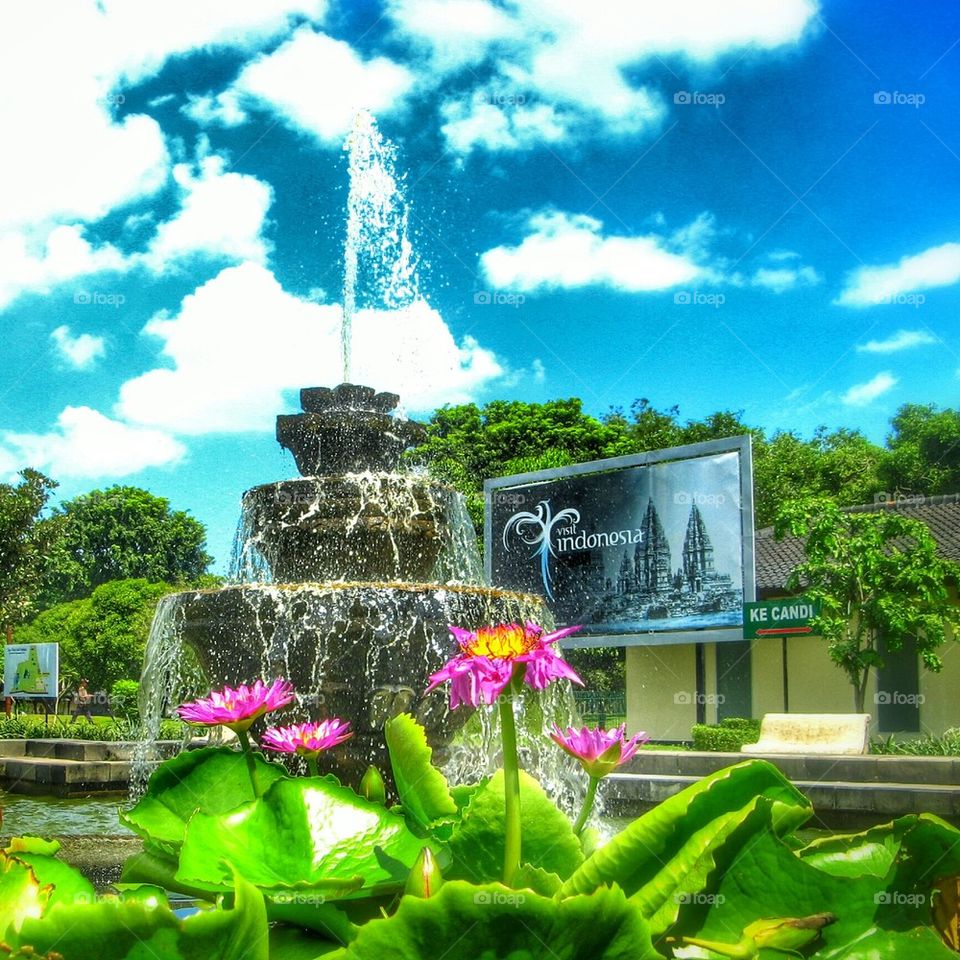 Fountain with water lily at Indonesia