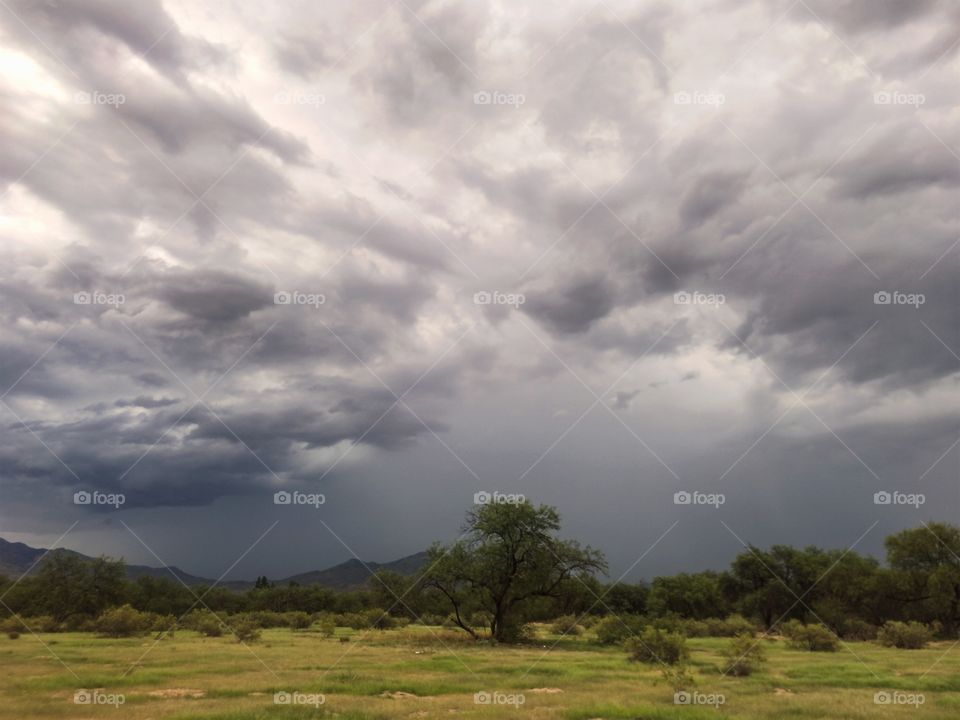 Nature Landmarks - Monsoon Season in Tucson, Arizona 