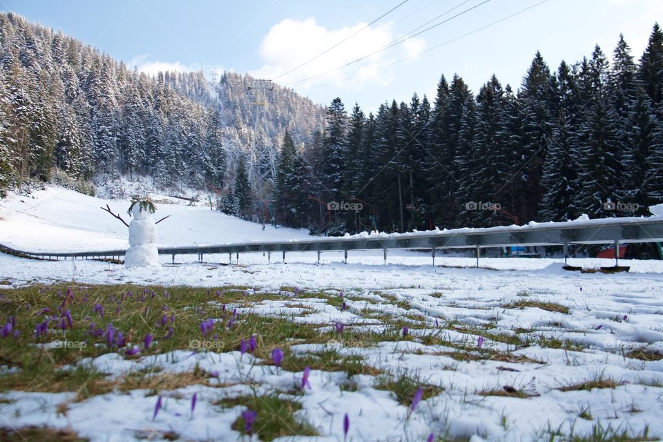 Spring in Poiana Brasov, Romania