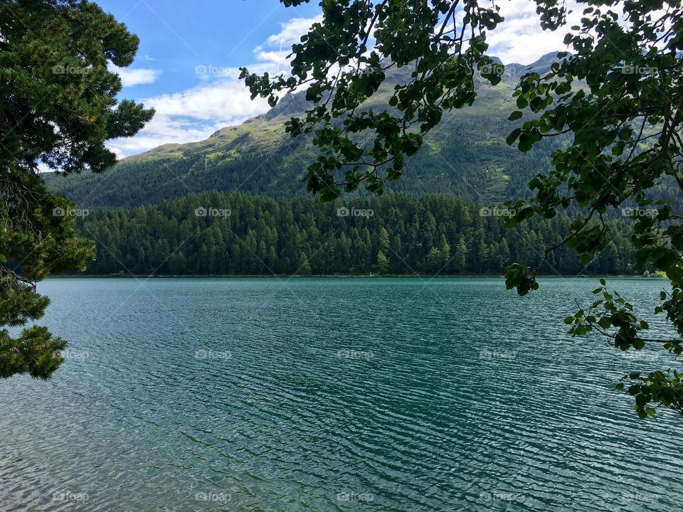 Water, Lake, Tree, Landscape, No Person