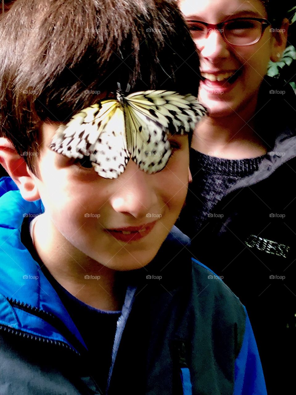 Butterfly on Boys head