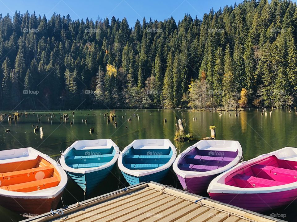 Colorful boats