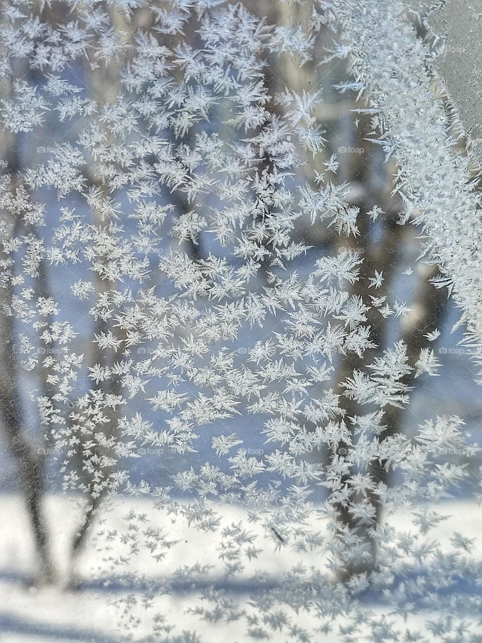 мороз на окнах