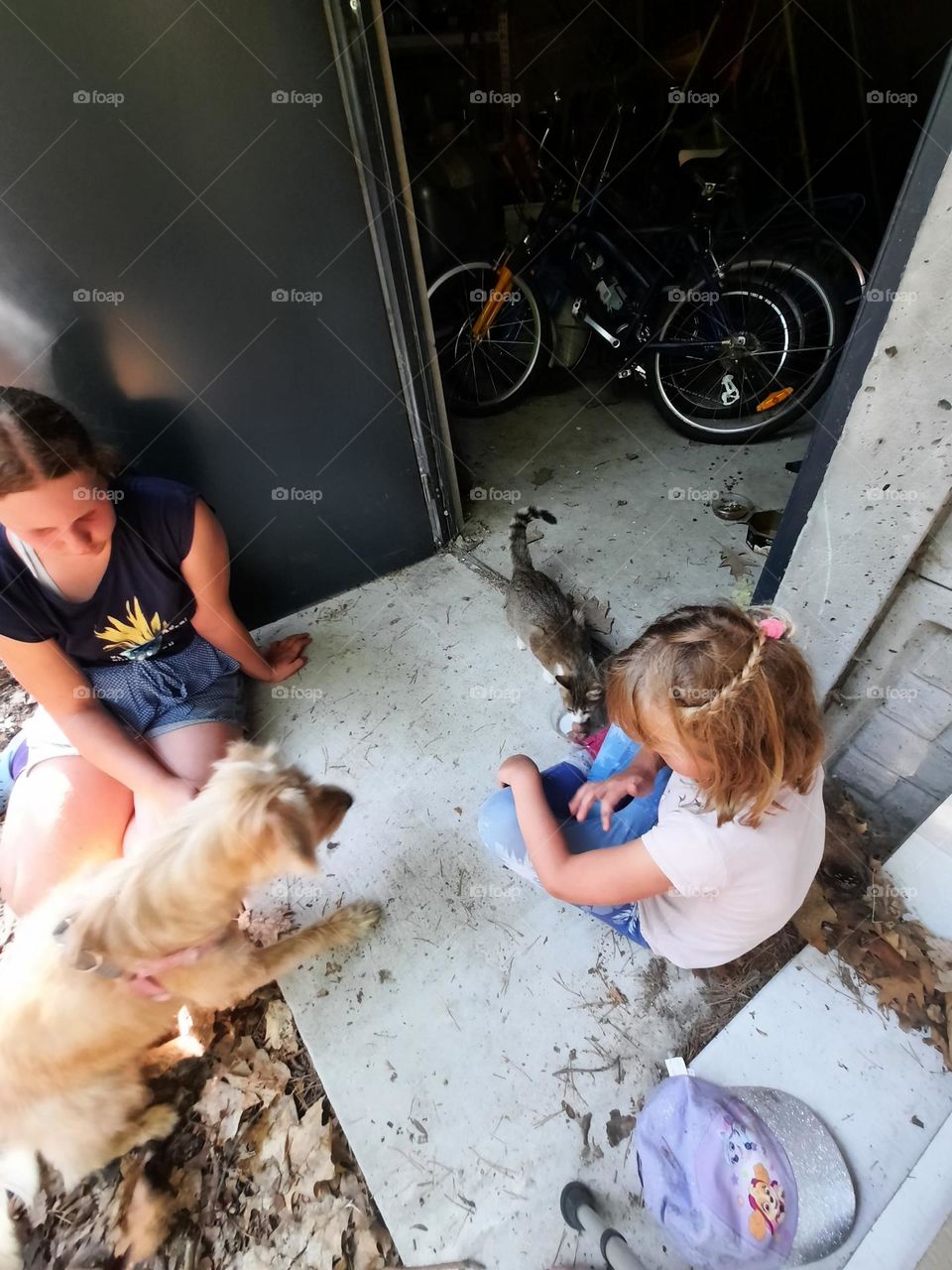 children with a dog found a wild cat in a shed