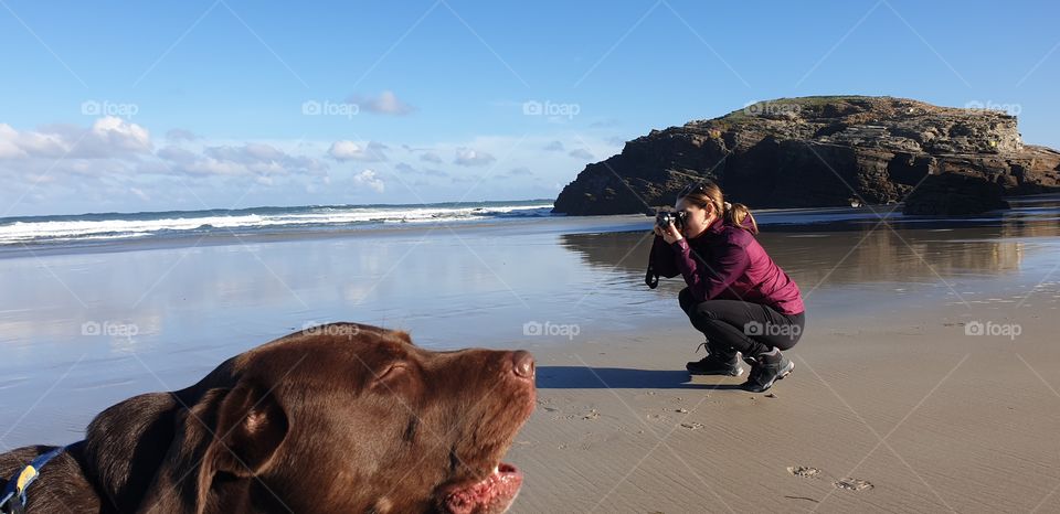 Beach#sky#take#picture#photograph#human#dog