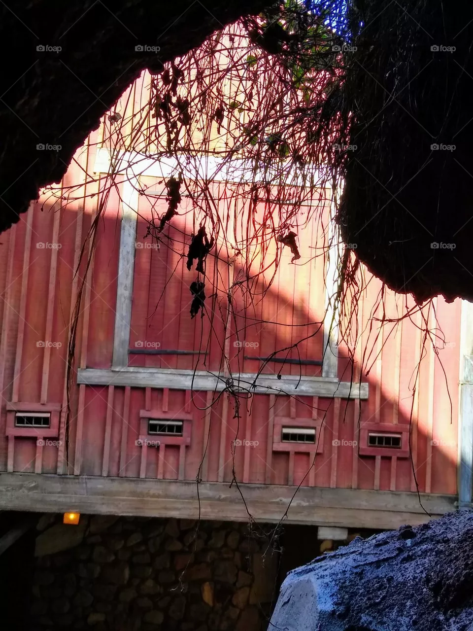 Farm