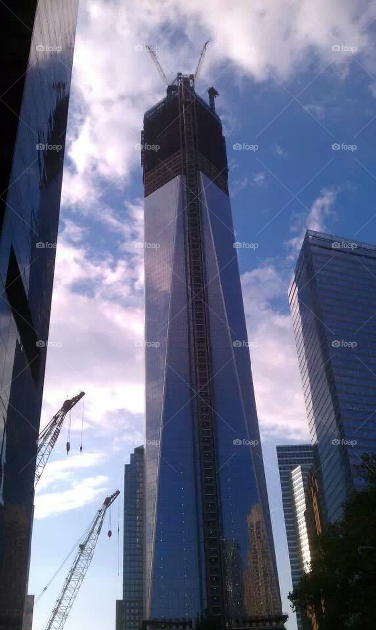 freedom tower