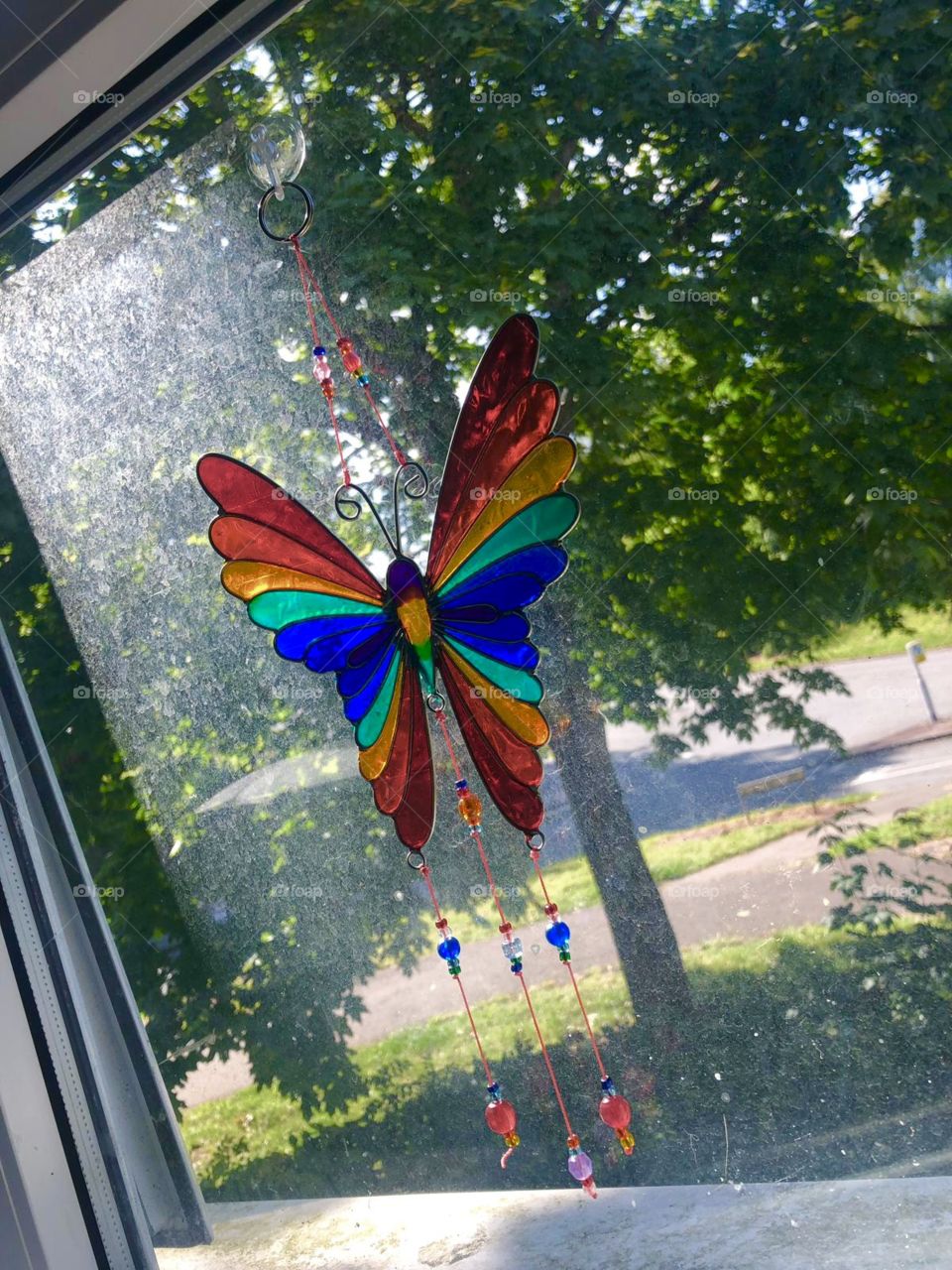 Pretty butterfly hanging on the window 💕