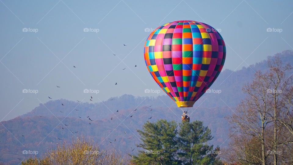 Hot Air Ballon with Birds