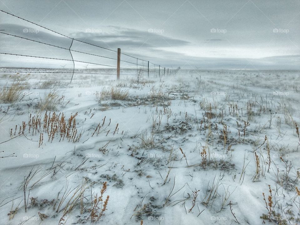 Winter on the Plains