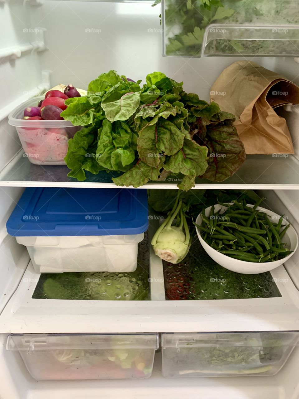 Refrigerator filled with fresh vegetables 