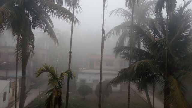 Fog