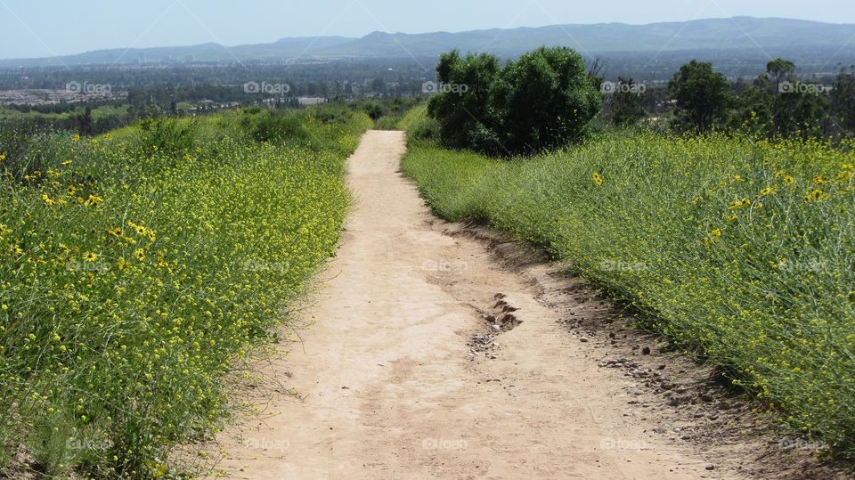 Hiking trails