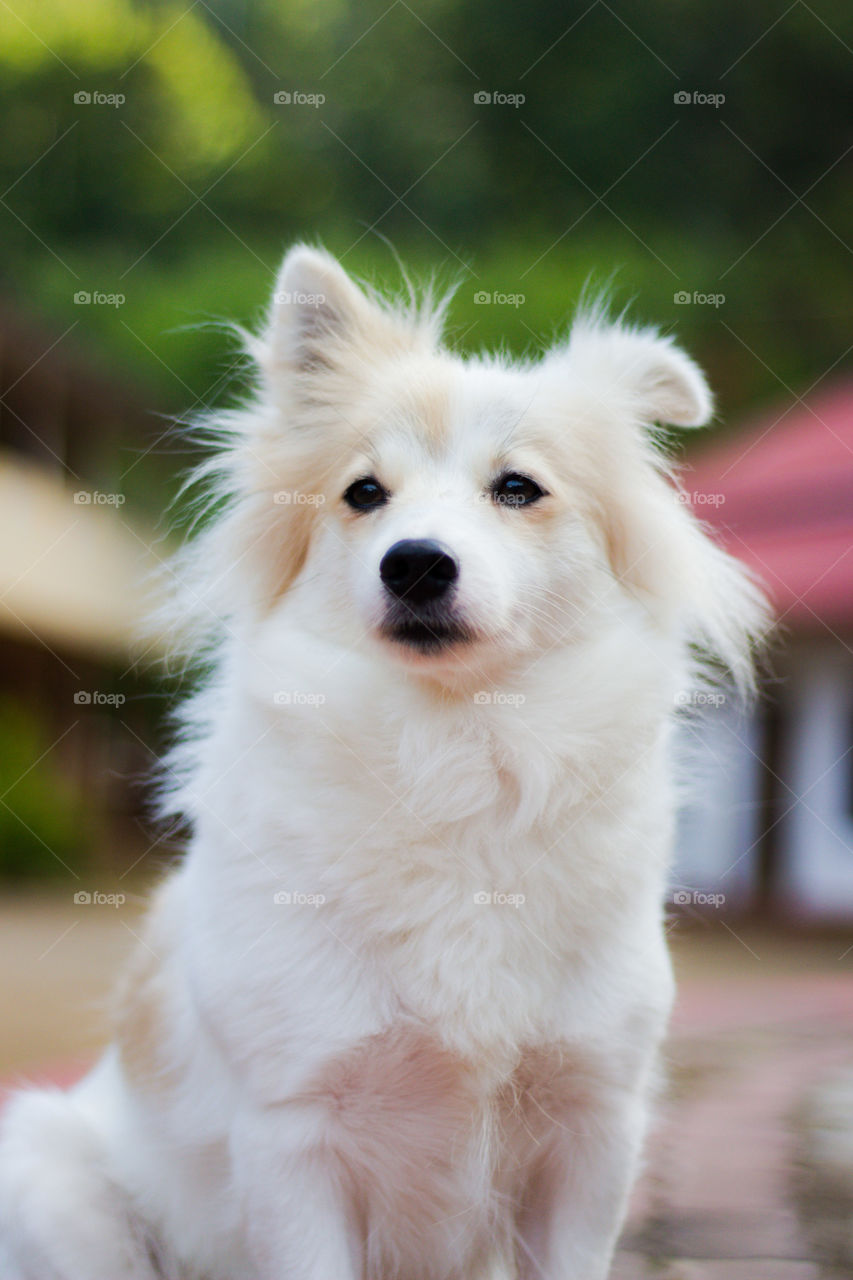 how much do you like this photo