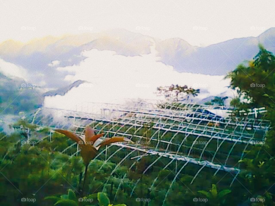 We had breakfast at a restaurant near the top of the mountain