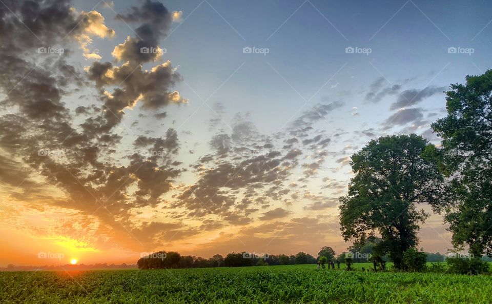 Dramatic and colorful sunrise sky over a Countryside landscape 