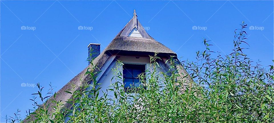 An old fashioned farm house on the island “Rügen” in “Western Pomerania”, Germany has a chimney and a triangle roof with an awning above the window on the top floor. It looks lovely against the bushes and the blue sky. 2024. Hypnotic Productions