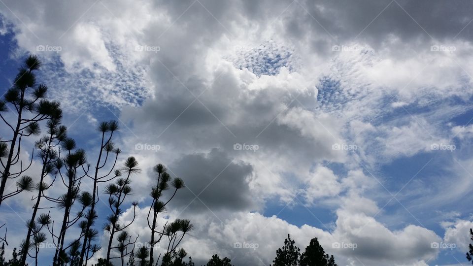 Lacy clouds. Happened to look up and saw these weird, "dotted swiss" looking clouds.