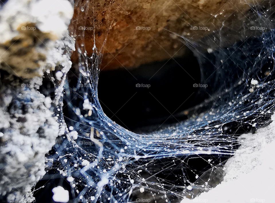 Weaving art of nature