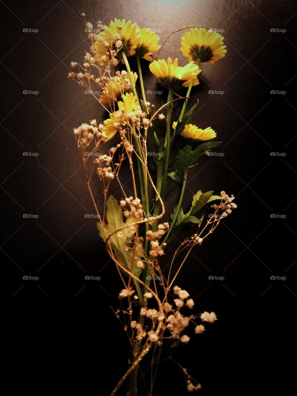 Fresh and Dried Flowers