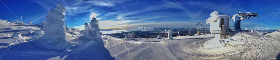 View of winter in canada