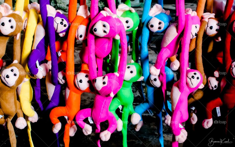 Colorful monkeys, Thailand