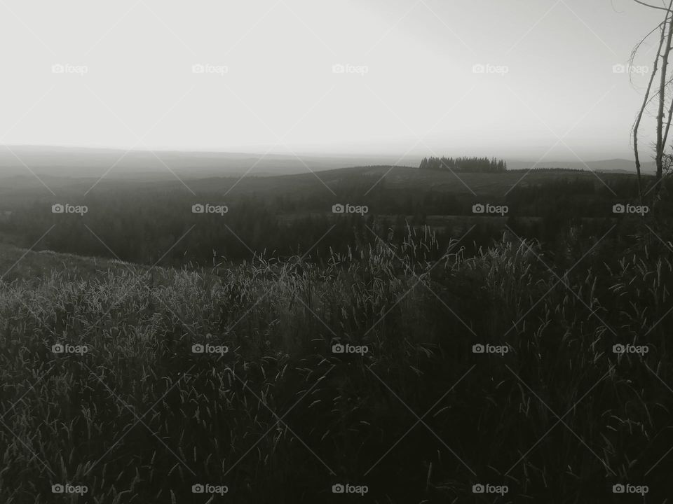 smokey haze. black and white Oregon smoke filled sky.