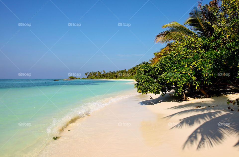 Lonely beach. 