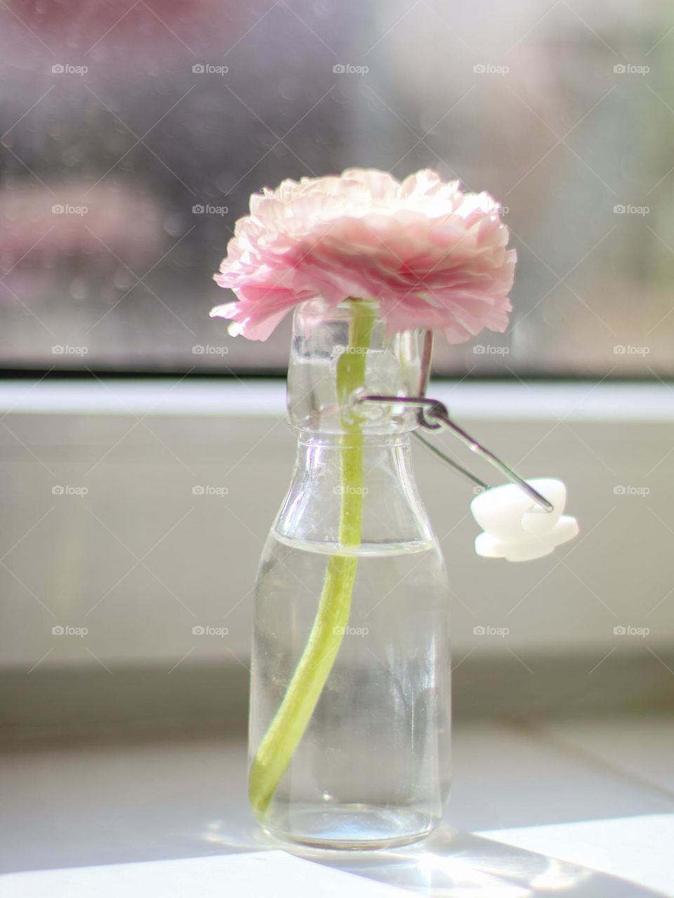 One pink peony in a small bottle vase stands on the windowsill, close-up side view.