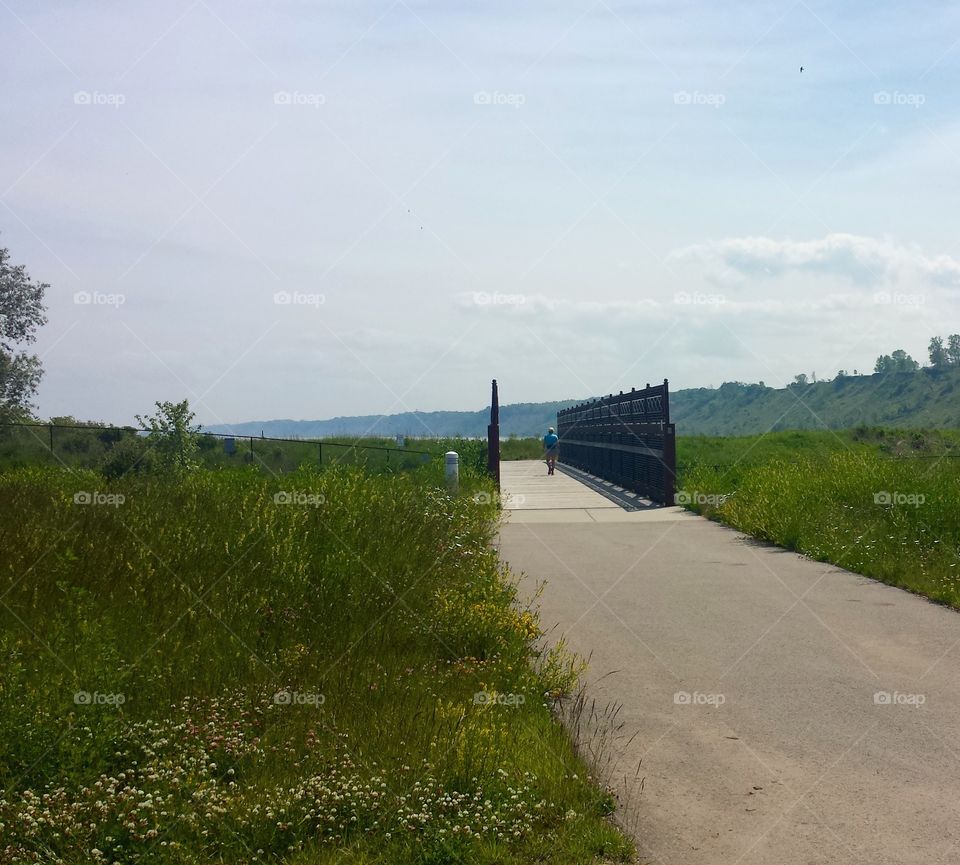 Nature. Bridge Walk