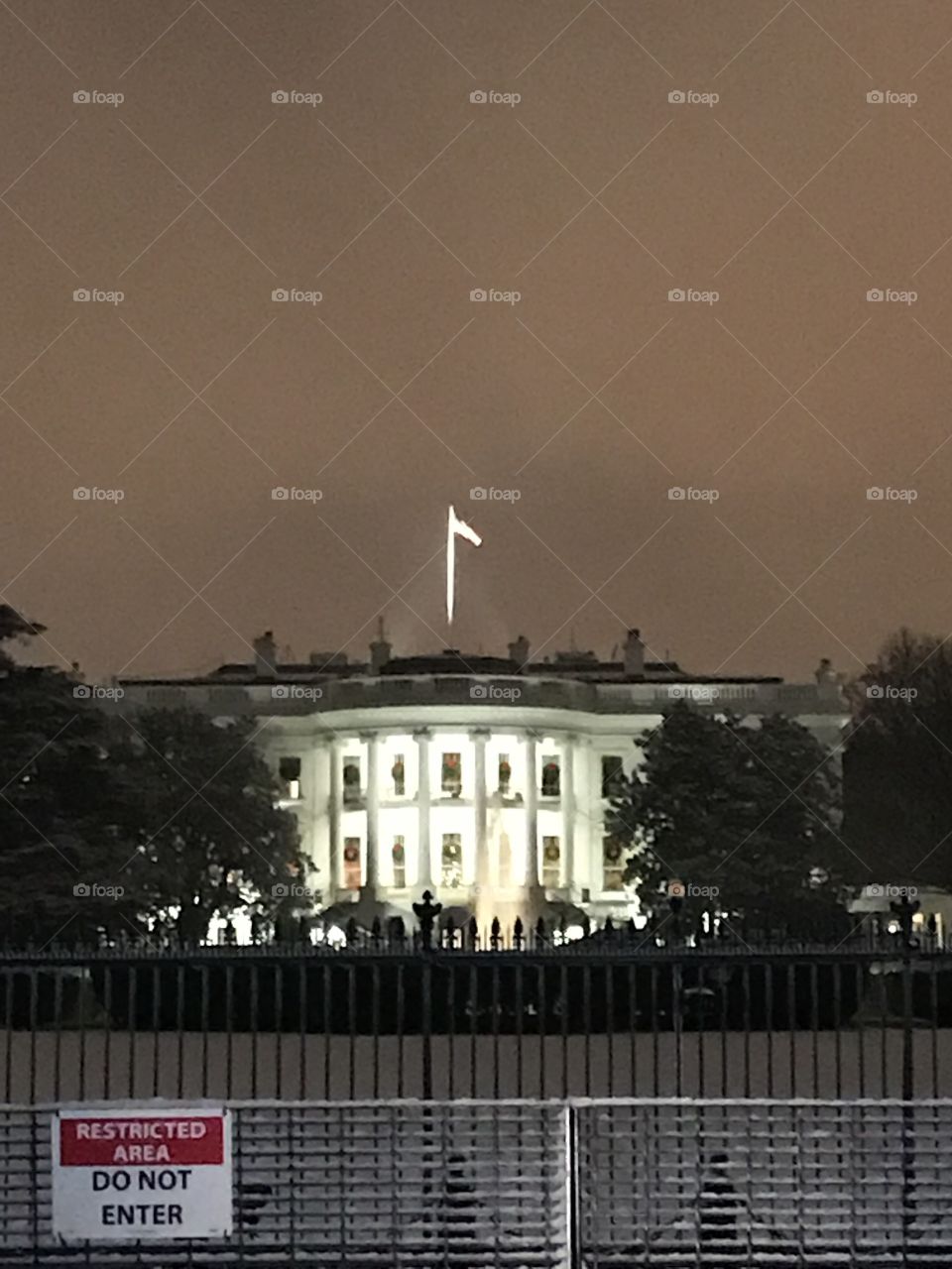 The White House 
