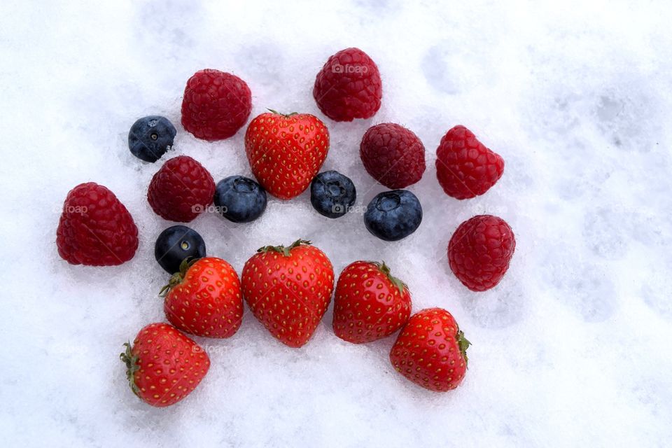Berries on snow