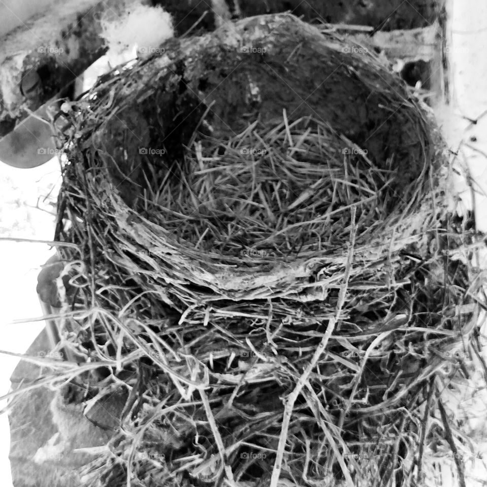 Empty Nest. an abandoned nest tucked inside my porch awning