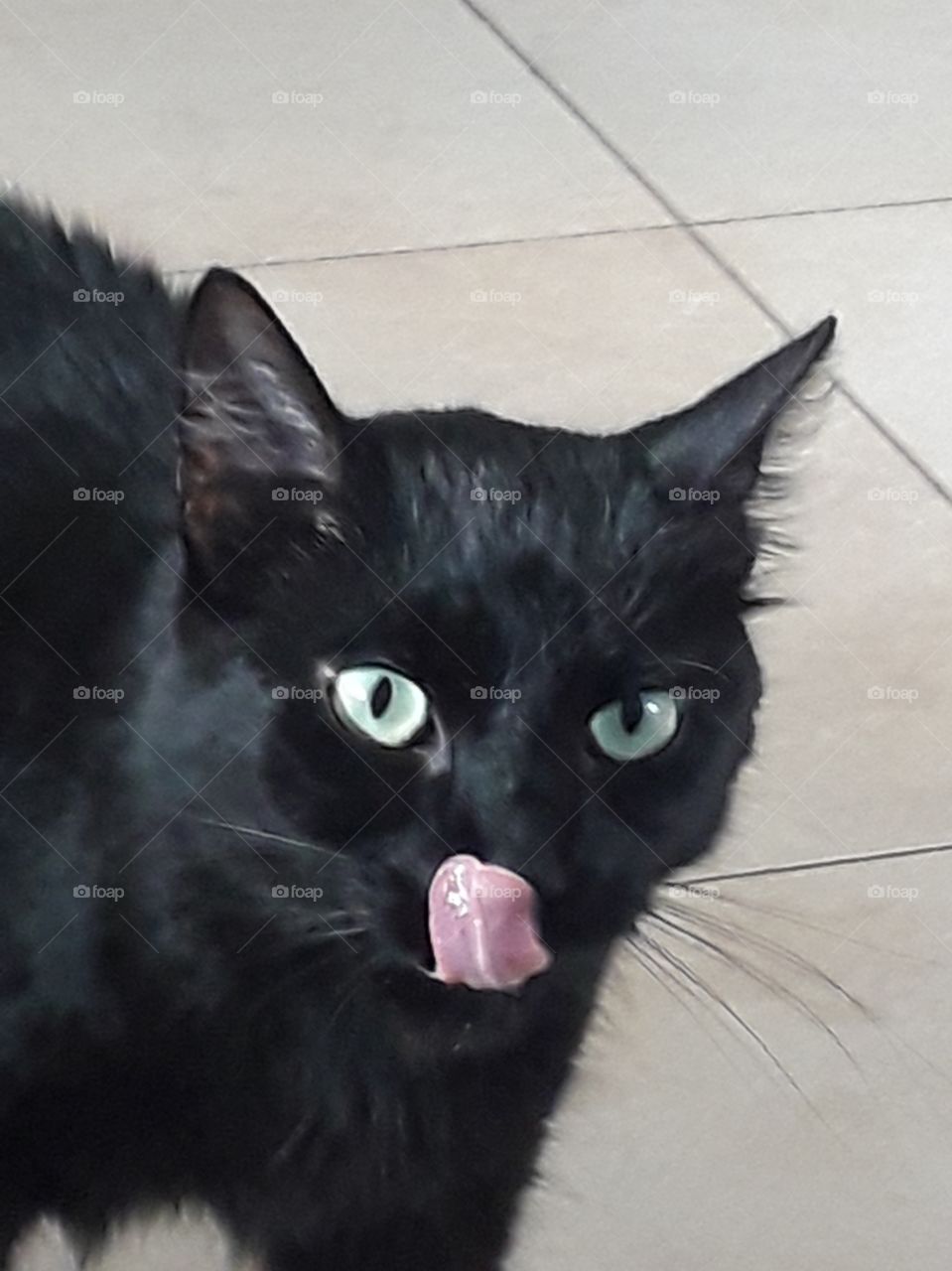 black cat with esmerald eyes licking its lips