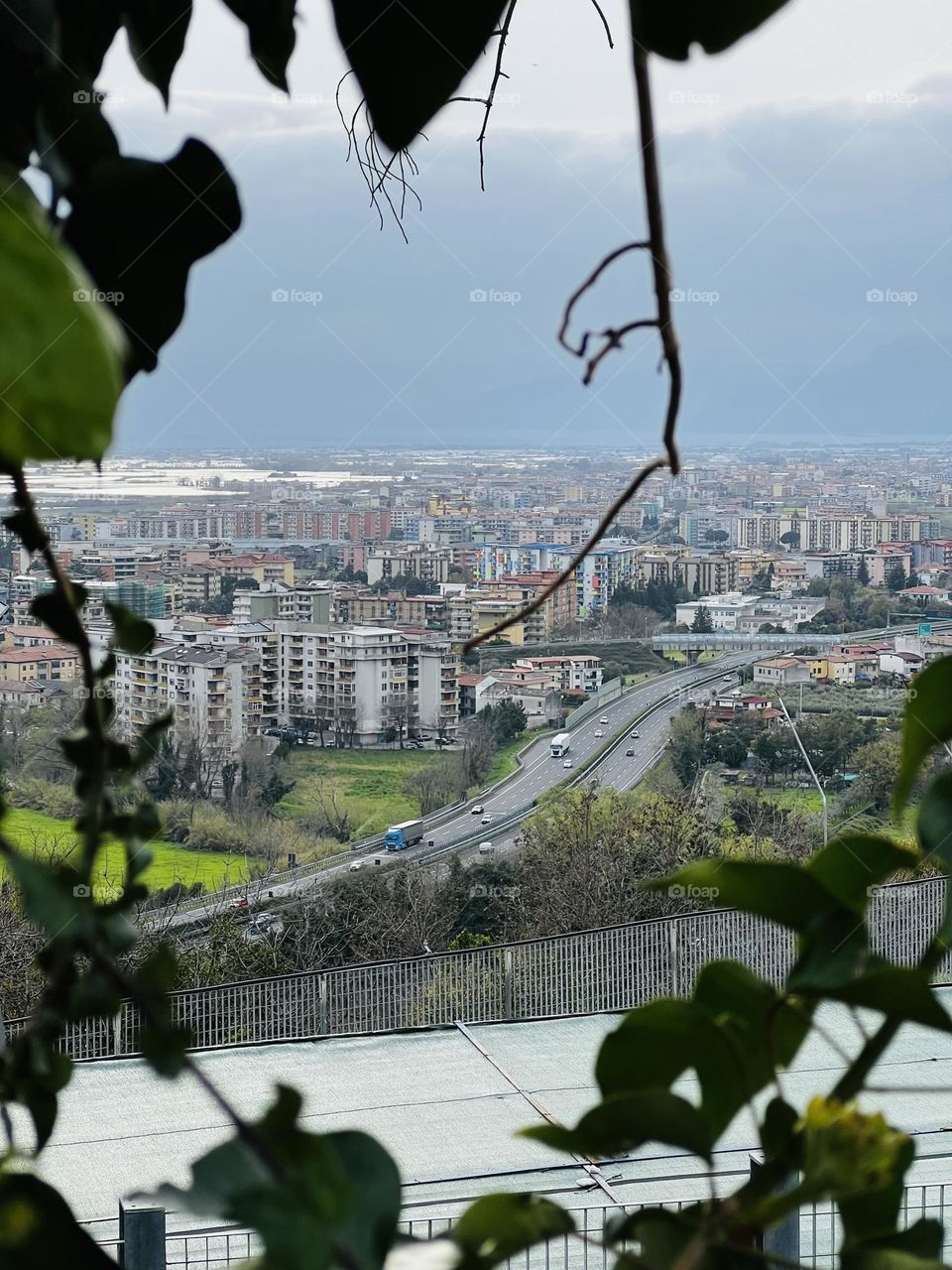 City seen trough nature 