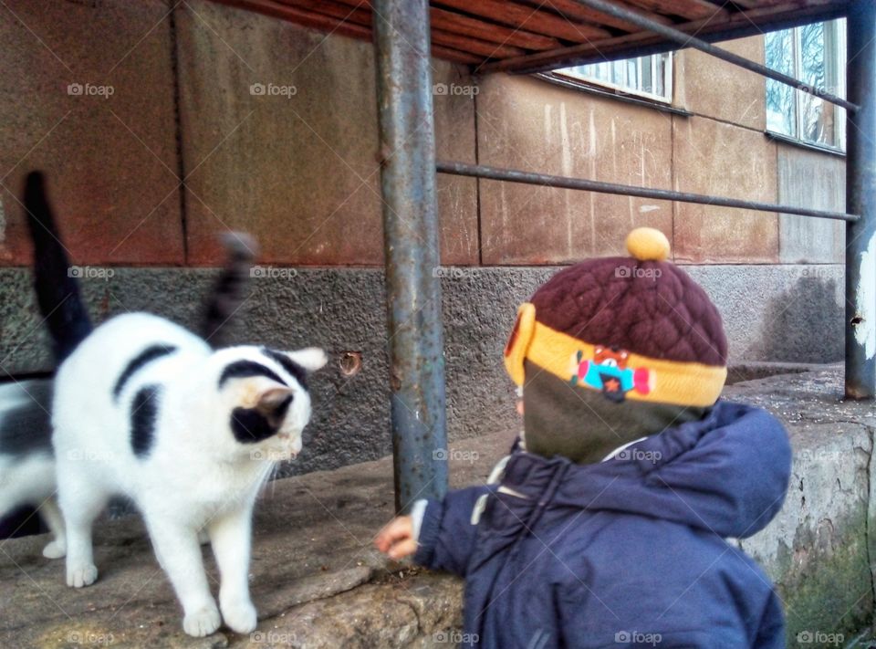 child and cat ребёнок и кот