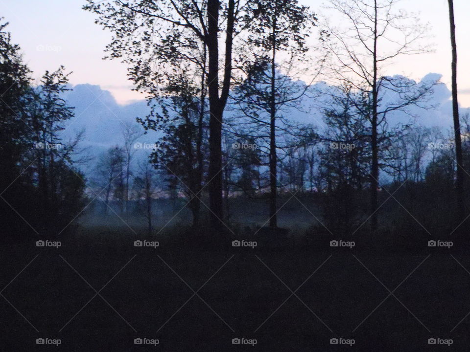 Rising fog in twilight 