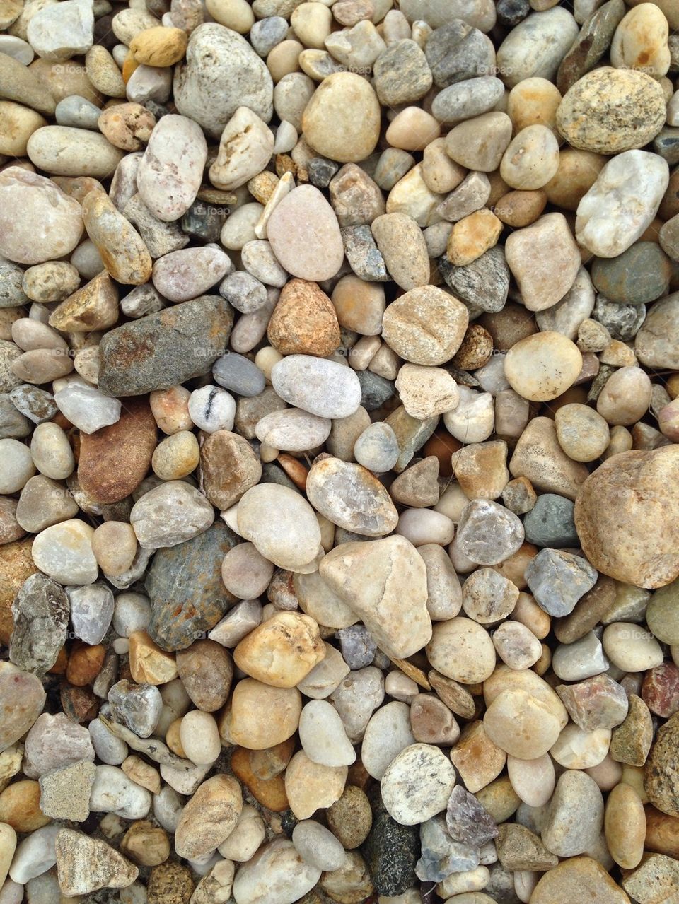 Rocks 