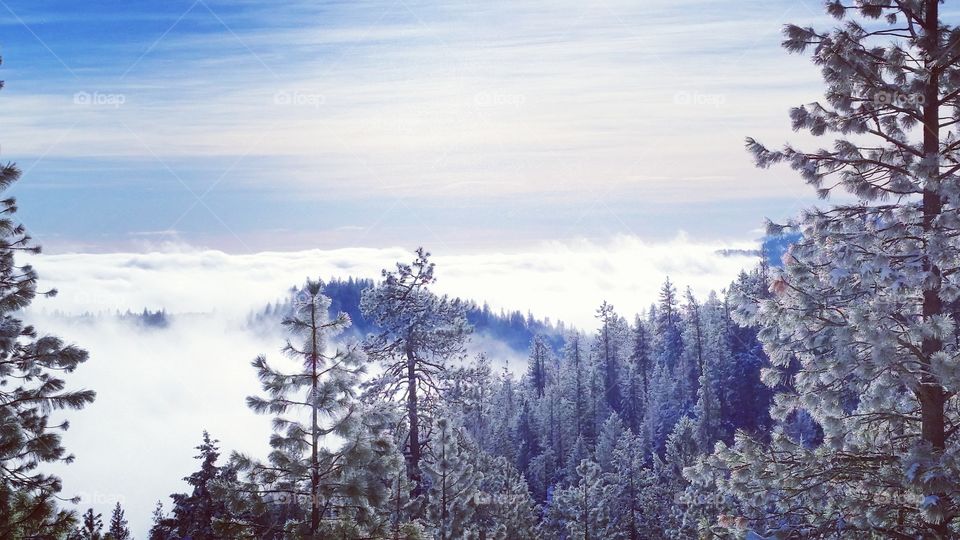 Frosted and Misted winter mountains